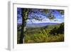 Approaching Autumn IV-Alan Hausenflock-Framed Photographic Print