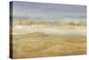 Approaching Haboob I-Tim OToole-Stretched Canvas