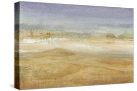 Approaching Haboob I-Tim OToole-Stretched Canvas