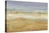 Approaching Haboob I-Tim OToole-Stretched Canvas