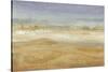 Approaching Haboob I-Tim OToole-Stretched Canvas