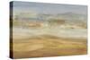 Approaching Haboob II-Tim OToole-Stretched Canvas