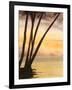 Approaching Horizon II-Linda Baliko-Framed Art Print