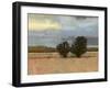 Approaching Storm I-Norman Wyatt Jr.-Framed Art Print