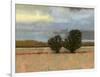 Approaching Storm I-Norman Wyatt Jr.-Framed Art Print