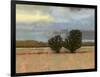 Approaching Storm I-Norman Wyatt Jr.-Framed Art Print