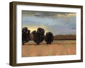 Approaching Storm II-Norman Wyatt Jr.-Framed Art Print