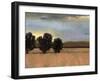 Approaching Storm II-Norman Wyatt Jr.-Framed Art Print