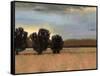 Approaching Storm II-Norman Wyatt Jr.-Framed Stretched Canvas