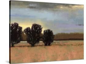 Approaching Storm II-Norman Wyatt Jr.-Stretched Canvas