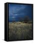 Approaching Storm in Desert, Lava Beds National Monument, California, USA-Paul Souders-Framed Stretched Canvas