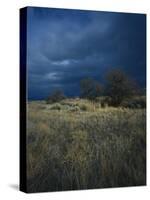 Approaching Storm in Desert, Lava Beds National Monument, California, USA-Paul Souders-Stretched Canvas