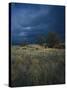 Approaching Storm in Desert, Lava Beds National Monument, California, USA-Paul Souders-Stretched Canvas