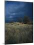 Approaching Storm in Desert, Lava Beds National Monument, California, USA-Paul Souders-Mounted Photographic Print