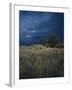 Approaching Storm in Desert, Lava Beds National Monument, California, USA-Paul Souders-Framed Photographic Print