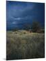 Approaching Storm in Desert, Lava Beds National Monument, California, USA-Paul Souders-Mounted Photographic Print