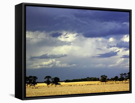 Approaching Storm, near Geelong, Victoria, Australia-David Wall-Framed Stretched Canvas