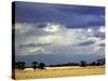 Approaching Storm, near Geelong, Victoria, Australia-David Wall-Stretched Canvas