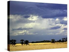 Approaching Storm, near Geelong, Victoria, Australia-David Wall-Stretched Canvas