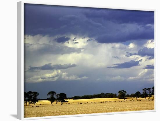 Approaching Storm, near Geelong, Victoria, Australia-David Wall-Framed Photographic Print