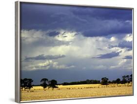 Approaching Storm, near Geelong, Victoria, Australia-David Wall-Framed Photographic Print