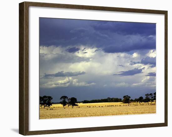 Approaching Storm, near Geelong, Victoria, Australia-David Wall-Framed Photographic Print