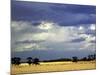 Approaching Storm, near Geelong, Victoria, Australia-David Wall-Mounted Photographic Print