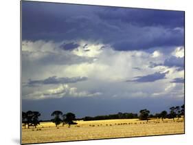 Approaching Storm, near Geelong, Victoria, Australia-David Wall-Mounted Photographic Print