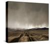 Approaching Storm-David Lorenz Winston-Stretched Canvas