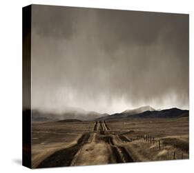 Approaching Storm-David Lorenz Winston-Stretched Canvas