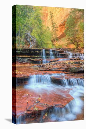 Approaching The Subway in Autumn, Zion National Park-Vincent James-Stretched Canvas