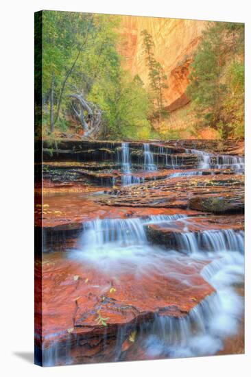 Approaching The Subway in Autumn, Zion National Park-Vincent James-Stretched Canvas