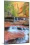 Approaching The Subway in Autumn, Zion National Park-Vincent James-Mounted Premium Photographic Print