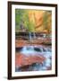 Approaching The Subway in Autumn, Zion National Park-Vincent James-Framed Photographic Print