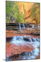 Approaching The Subway in Autumn, Zion National Park-Vincent James-Mounted Photographic Print