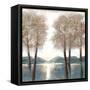 Approaching Woods 2-Doris Charest-Framed Stretched Canvas