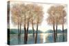 Approaching Woods-Doris Charest-Stretched Canvas