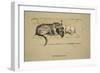 Approbation, 1930, 1st Edition of Sleeping Partners-Cecil Aldin-Framed Giclee Print