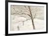 Après la tempête-Hélène Léveillée-Framed Art Print