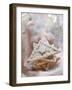 Apricot and Ginger Triangle-Eising Studio - Food Photo and Video-Framed Photographic Print