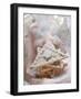 Apricot and Ginger Triangle-Eising Studio - Food Photo and Video-Framed Photographic Print