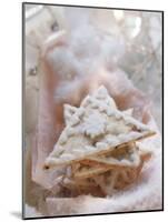 Apricot and Ginger Triangle-Eising Studio - Food Photo and Video-Mounted Photographic Print