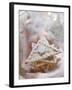 Apricot and Ginger Triangle-Eising Studio - Food Photo and Video-Framed Photographic Print