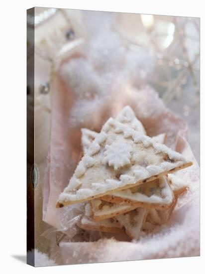 Apricot and Ginger Triangle-Eising Studio - Food Photo and Video-Stretched Canvas