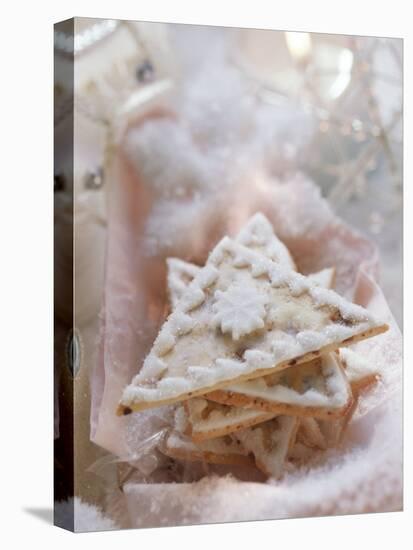 Apricot and Ginger Triangle-Eising Studio - Food Photo and Video-Stretched Canvas