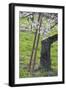 Apricot Blossom, Austria-Rainer Mirau-Framed Photographic Print