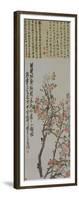 Apricot Blossoms-Wu Changshuo-Framed Giclee Print