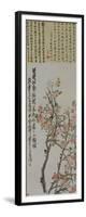 Apricot Blossoms-Wu Changshuo-Framed Giclee Print