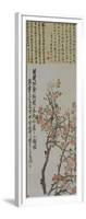 Apricot Blossoms-Wu Changshuo-Framed Giclee Print