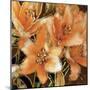 Apricot Dream I-Lane Ashfield-Mounted Art Print